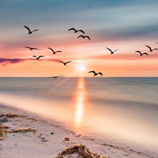 Uitvaartzorg Commeyne - Anneke Vanhaelewyn