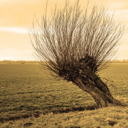 Uitvaartzorg Commeyne - Guido Verhelle