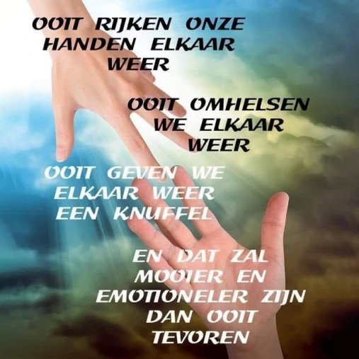 Foto Yolanda Ghyselen - Provoost